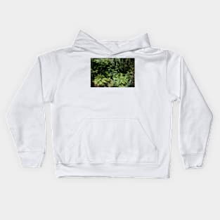 Untouched Forest Kids Hoodie